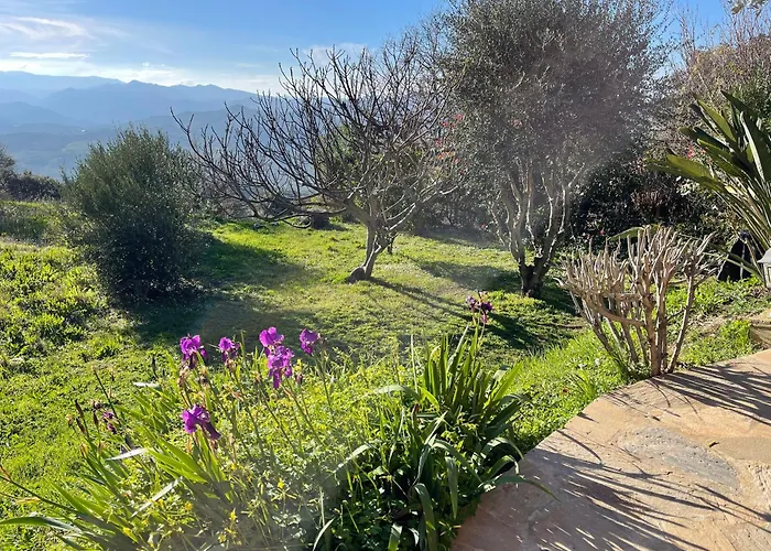 Frühstückspension Carpediem Corsica Adult Only Poggio-d'Oletta